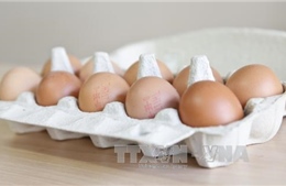 Bê bối trứng "bẩn" tiếp tục lan rộng ở châu Âu